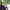 https://res.cloudinary.com/billionhands/image/upload/v1771336174/items/qkc9kcgdw19qpjwxznns.jpg-3cover