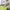 https://res.cloudinary.com/billionhands/image/upload/v1771336211/items/cgvpqzmdycsc3vnkkecv.jpg-0cover