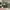https://res.cloudinary.com/billionhands/image/upload/v1771336215/items/nmlhuf2dkn3wolbrvlkz.webp-3cover