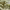 https://res.cloudinary.com/billionhands/image/upload/v1771336225/items/qdy1bs5wq8x5fuwdrjbk.jpg-2cover