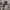 https://res.cloudinary.com/billionhands/image/upload/v1771336261/items/gsx9zluxqf5qrlkzoltc.jpg-0cover