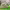 https://res.cloudinary.com/billionhands/image/upload/v1771336330/items/pierkd9rhqcqdjkpsacw.webp-2cover