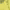 https://res.cloudinary.com/billionhands/image/upload/v1771336343/items/hyifk3mwj8znj2kad8aw.jpg-2cover