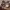 https://res.cloudinary.com/billionhands/image/upload/v1771336511/items/xdp7a2uqa9wydplcvb5y.webp-3cover