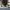 https://res.cloudinary.com/billionhands/image/upload/v1771336611/items/epahbrspnexlnxyakfya.webp-2cover