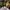 https://res.cloudinary.com/billionhands/image/upload/v1771336651/items/vtl9ccqgq26gohbjlw0b.jpg-2cover