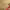 https://res.cloudinary.com/billionhands/image/upload/v1771336680/items/wnwrlxm7dahotmbxirfv.jpg-1cover