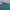 Nestrategia (Tenerife) cover