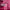 https://res.cloudinary.com/billionhands/image/upload/v1771336970/items/u9h2pco2dcyjx1refscr.jpg-3cover