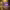 https://res.cloudinary.com/billionhands/image/upload/v1771337176/items/vine8wzpc8q5qs2wfcf4.webp-2cover