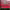 https://res.cloudinary.com/billionhands/image/upload/v1771337177/items/ywvpidbrdsevbggdceip.jpg-3cover