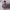 https://res.cloudinary.com/billionhands/image/upload/v1771337295/items/fzkuuvyqjdrz8bhnriqy.png-1cover