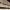 https://res.cloudinary.com/billionhands/image/upload/v1771337305/items/scevpws8wxim0ognzasz.jpg-1cover