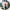 https://res.cloudinary.com/billionhands/image/upload/v1771337312/items/xtfjumfrwgsa3ixopiva.png-3cover