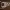 https://res.cloudinary.com/billionhands/image/upload/v1771337379/items/ycbn0ljy7boaemc5nwhk.webp-0cover