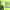 https://res.cloudinary.com/billionhands/image/upload/v1771337629/items/lwb7ugvzjddh04q7ep5c.jpg-0cover