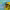 https://res.cloudinary.com/billionhands/image/upload/v1771337671/items/qt9pqebstk5eubl8av4b.jpg-1cover