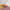 https://res.cloudinary.com/billionhands/image/upload/v1771337770/items/rfkh2ys0278kjalmcyqe.jpg-1cover