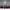 https://res.cloudinary.com/billionhands/image/upload/v1771337810/items/fiyjklsxlehadogkvdnc.jpg-2cover