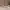 https://res.cloudinary.com/billionhands/image/upload/v1771337939/items/rlvdmyxdpkb9hssfjvay.jpg-3cover