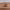 https://res.cloudinary.com/billionhands/image/upload/v1771337955/items/ivkxzneeysyea7jyytgs.webp-1cover