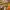 https://res.cloudinary.com/billionhands/image/upload/v1771338048/items/rj0f5bz1nybtwvkzvhwp.jpg-2cover