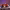 https://res.cloudinary.com/billionhands/image/upload/v1771338152/items/zm7e5xqazoazywbjwtij.jpg-0cover