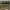https://res.cloudinary.com/billionhands/image/upload/v1771338217/items/z6x7yx8nzmtnibebd3br.jpg-3cover