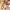 https://res.cloudinary.com/billionhands/image/upload/v1771338382/items/oq9ca0ifn0jsvour1gny.jpg-1cover