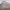 https://res.cloudinary.com/billionhands/image/upload/v1771345484/items/qe9xbuzwoemomz1wkyuf.jpg-1cover