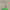 https://res.cloudinary.com/billionhands/image/upload/v1771395077/items/q1qh46x0w7nynvgetcyq.jpg-1cover
