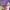 https://res.cloudinary.com/billionhands/image/upload/v1771395083/items/z6bmcrwmh8nyb1xs0tsm.jpg-3cover