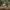 https://res.cloudinary.com/billionhands/image/upload/v1771399679/items/r1095sv2xfkyh9pzaywl.jpg-2cover