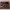 https://res.cloudinary.com/billionhands/image/upload/v1771399723/items/ruoqix0cdw1uuofbum7m.png-0cover