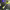 https://res.cloudinary.com/billionhands/image/upload/v1771399731/items/kusaenfqvwpklmypp6ni.jpg-0cover