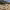 Tracking Desert Elephants (Northwest Namibia) cover