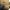https://res.cloudinary.com/billionhands/image/upload/v1771399798/items/jwqvrprvv0oo726han5c.webp-3cover