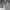 https://res.cloudinary.com/billionhands/image/upload/v1771486123/items/zi1f08qkbzf53jh8d0al.jpg-2cover