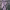 https://res.cloudinary.com/billionhands/image/upload/v1771486149/items/cc30xvir2n7alwkwpwql.jpg-1cover