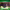 https://res.cloudinary.com/billionhands/image/upload/v1771486158/items/lsfr31hymngi5vyjqzxl.webp-1cover