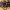 https://res.cloudinary.com/billionhands/image/upload/v1771500609/items/tb5ycrtikjydqmptv7gh.jpg-1cover