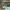 https://res.cloudinary.com/billionhands/image/upload/v1771500635/items/rizje8lzfkk8vkrqajen.jpg-1cover