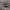 https://res.cloudinary.com/billionhands/image/upload/v1771500694/items/kzodubfiww3la27mc5kh.jpg-3cover
