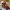 https://res.cloudinary.com/billionhands/image/upload/v1771500696/items/pahmcdvpzyuzhypcji1j.avif-3cover