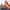 https://res.cloudinary.com/billionhands/image/upload/v1771500702/items/y3d8vkpgllayph4mncsu.webp-2cover