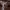 https://res.cloudinary.com/billionhands/image/upload/v1771500705/items/ft5m0e6ieq2rqqerefjt.webp-3cover
