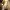 https://res.cloudinary.com/billionhands/image/upload/v1771500718/items/effr7y6k0a9c0sbg4hlz.jpg-2cover