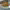 https://res.cloudinary.com/billionhands/image/upload/v1771500793/items/bprd3upy7prq4lflm9fl.jpg-2cover