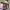 https://res.cloudinary.com/billionhands/image/upload/v1771500795/items/zd8qu8uchfnnzhfchrzr.jpg-1cover