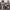 https://res.cloudinary.com/billionhands/image/upload/v1771500797/items/qcptdvtqabupe8skiuwe.jpg-0cover